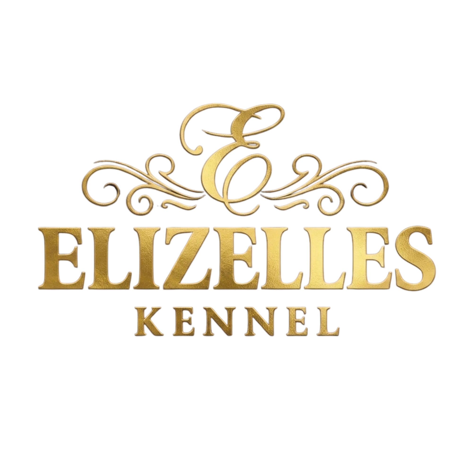 Elizelles